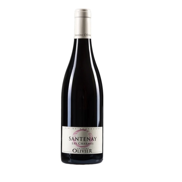 Santenay Clos des Champs Carafe, Domaine Antoine Olivier